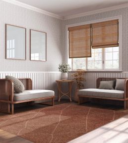 Asiatic Mulberry rug Terracotta MULB120170TERR Terracotta