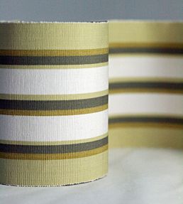 Wide Woven Border Trimming by Nina Campbell 6