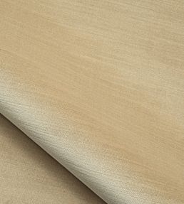 Velours Calder Fabric by Nobilis 5