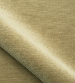 Velours Calder Fabric by Nobilis 14