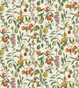 Orchard Fruits Fabric by Designers Guild Parchment