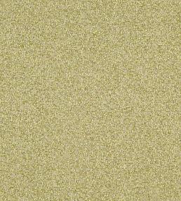 Skomer Fabric by Osborne & Little 102
