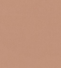 Oxford Fabric by Warwick Blush