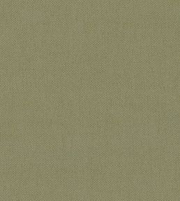 Oxford Fabric by Warwick Celery