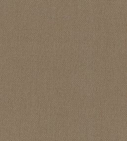 Oxford Fabric by Warwick Chino