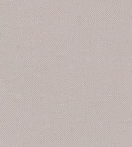 Oxford Fabric by Warwick Mist
