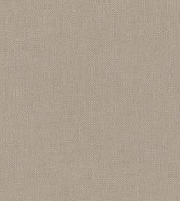 Oxford Fabric by Warwick Natural