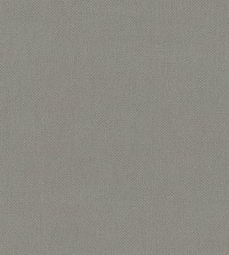 Oxford Fabric by Warwick Smoke
