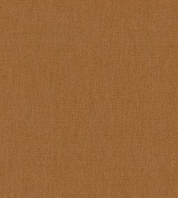 Oxford Fabric by Warwick Spice
