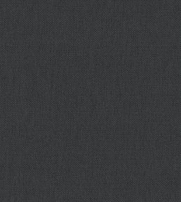 Oxford Fabric by Warwick Thunder