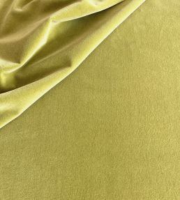 Palis Velvet Fabric by Ian Sanderson Asparagus
