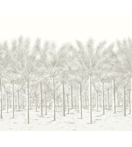 Palm Grove Mural by Thibaut Beige