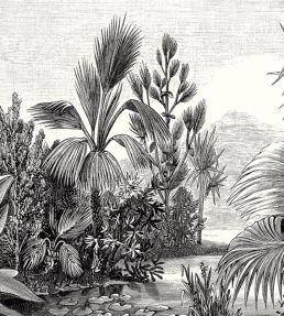Balade Sauvage Mural by Caselio Noir et Blanc