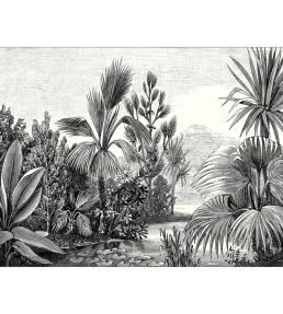 Balade Sauvage Mural by Caselio Noir et Blanc