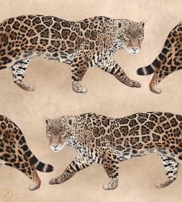 Pantheress Velvet Fabric by Avalana Caramel