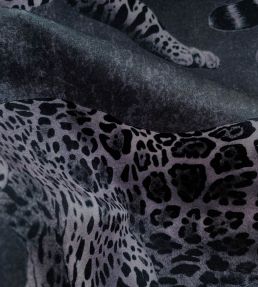 Pantheress Velvet Fabric by Avalana Noir