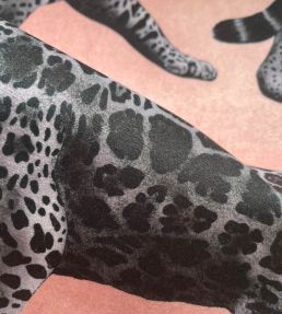 Pantheress Velvet Fabric by Avalana Pink