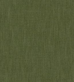 Parker Fabric by Warwick Basil