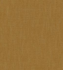Parker Fabric by Warwick Canary