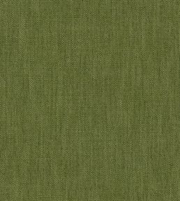 Parker Fabric by Warwick Kermit