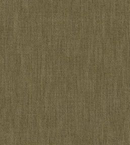 Parker Fabric by Warwick Olive
