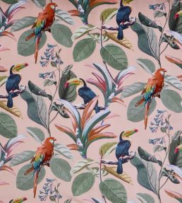 Parrot Fabric by Prestigious Textiles Coral