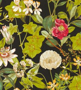 Passiflora Wallpaper by Clarke & Clarke Noir