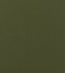 Perledo Fabric by Designers Guild Fern