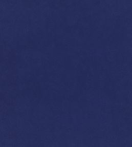 Plush Velvet FR Fabric by Warwick Cobalt