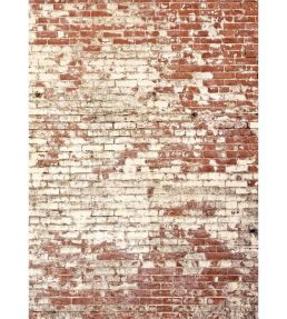 Poetic Wall Mural by Caselio Rouge