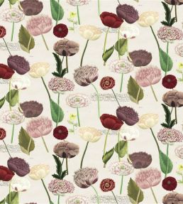 Poppy Study Fabric by Designers Guild Violet