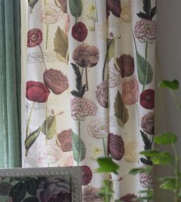 Poppy Study Fabric by Designers Guild Violet