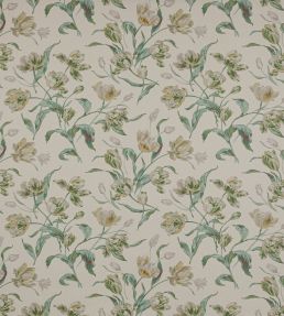 Primavera Fabric by Colefax and Fowler Ivory/Green