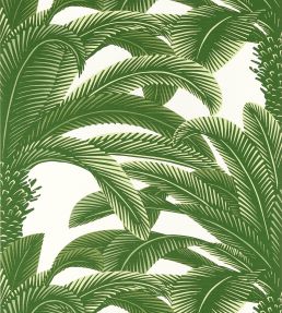 Queen Palm Wallpaper by Thibaut Green
