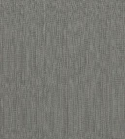 Remo Fabric by Clarke & Clarke Charcoal