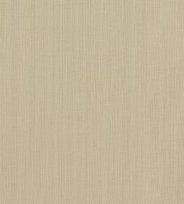 Remo Fabric by Clarke & Clarke Linen