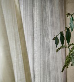 Remo Fabric by Clarke & Clarke Duckegg