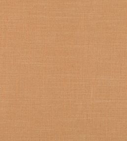 Asuri Fabric by Romo Clementine