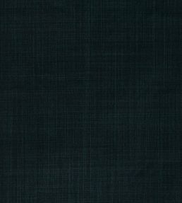 Dune Fabric by Romo Ebony