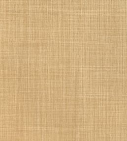 Dune Fabric by Romo Toffee