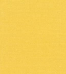 Linara FR Fabric by Romo Turmeric