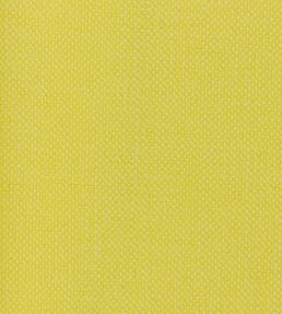 Linara FR Fabric by Romo Daffodil