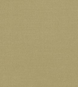 Linara FR Fabric by Romo Fennel