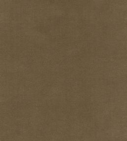 Rooksmoor Velvet Fabric by Lewis & Wood Fawn
