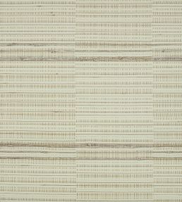Root Wallpaper by Mark Alexander Jasper White