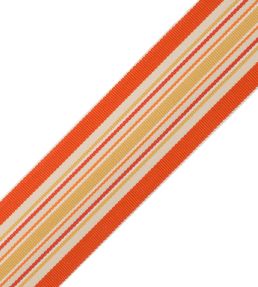 Saisons Stripe Border Trimming by Samuel & Sons Tangelo