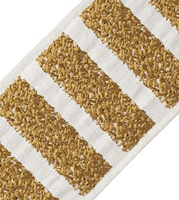 Equinox Embroidered Border Trimming by Samuel & Sons Gold