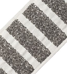 Equinox Embroidered Border Trimming by Samuel & Sons Titanium