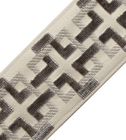 Vega Velvet Border Trimming by Samuel & Sons Titanium