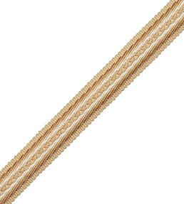 19mm Tiverton Border Trimming by Samuel & Sons Ocher